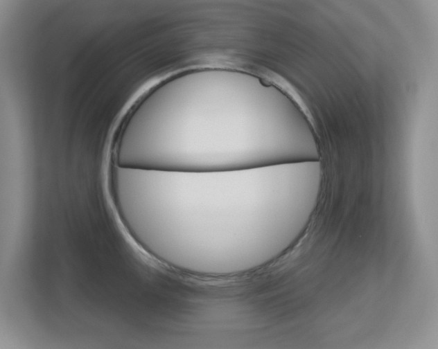 X0000112761147200908201028