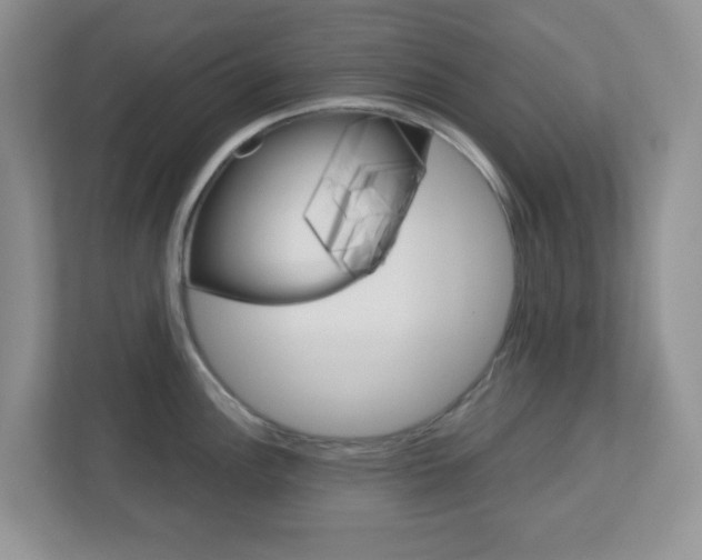 X0000112761148200908201028