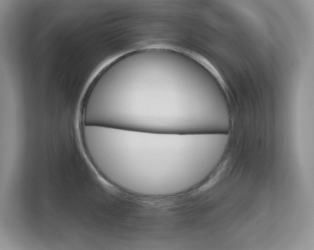 X0000112761149200908201028