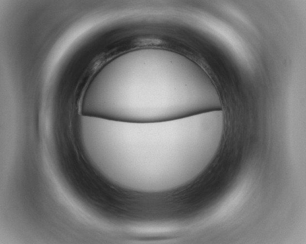 X0000112761151200908201028