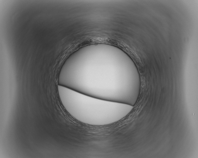 X0000112761153200908201028