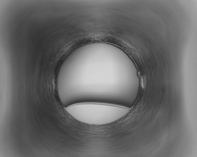 X0000112761155200908201028