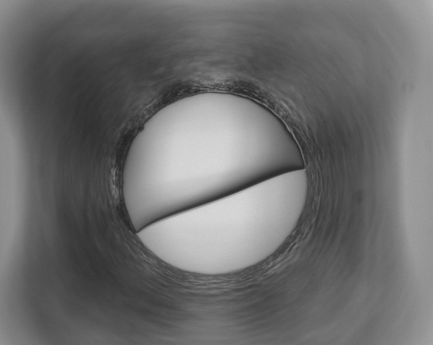 X0000112761156200908201028