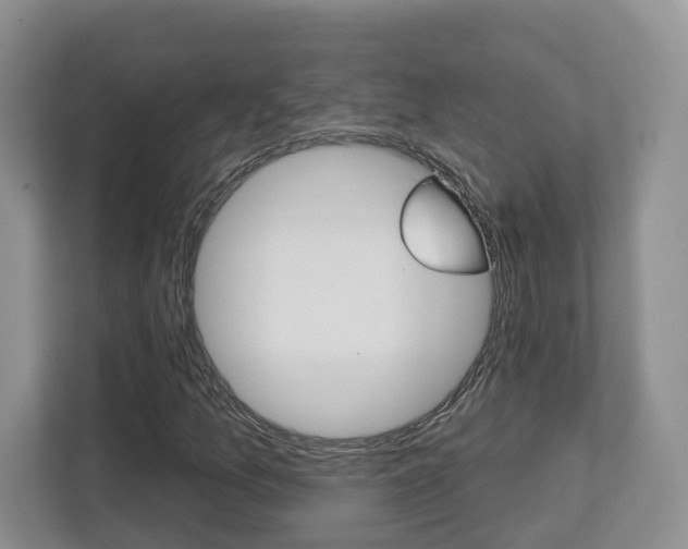 X0000112761157200908201028