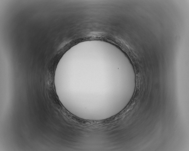 X0000112761158200908201028