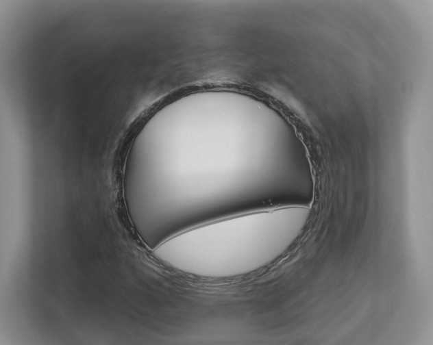 X0000112761160200908201028