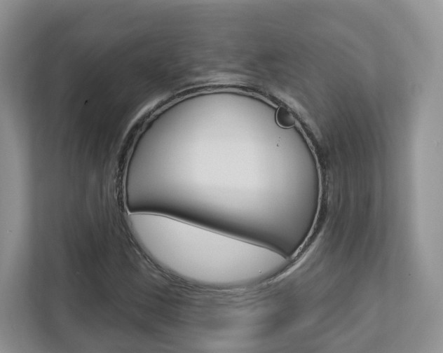 X0000112761163200908201027