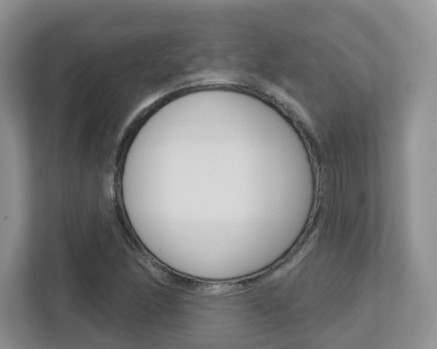 X0000112761166200908201027