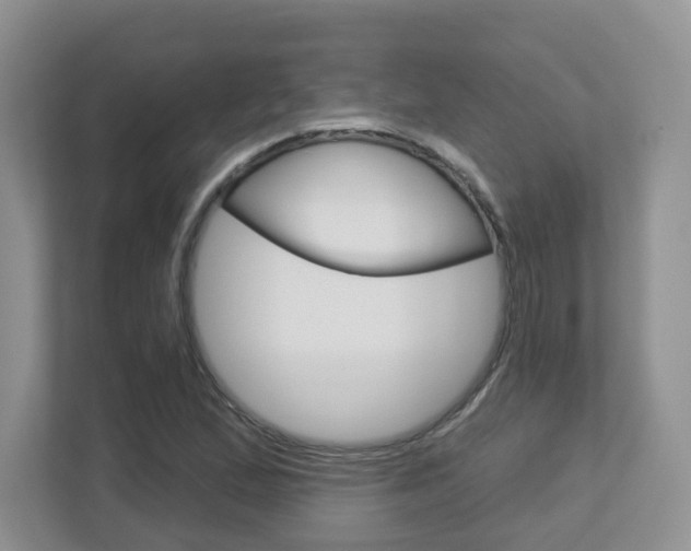 X0000112761167200908201027