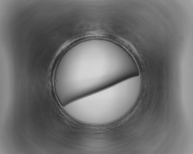 X0000112761168200908201027