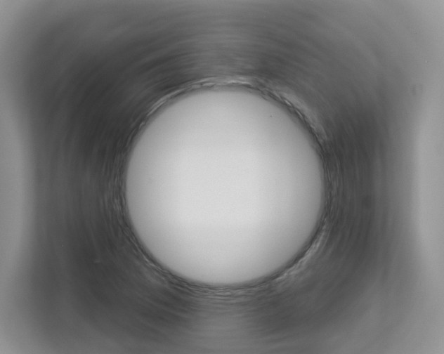 X0000112761169200908201027