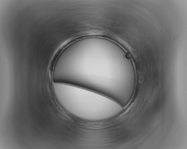 X0000112761171200908201027