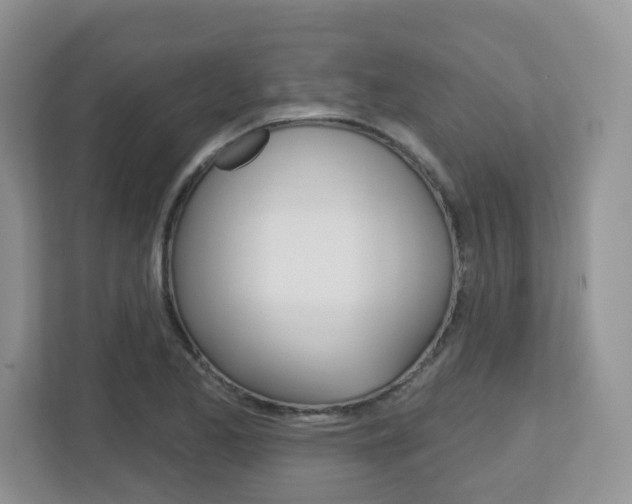 X0000112761173200908201027