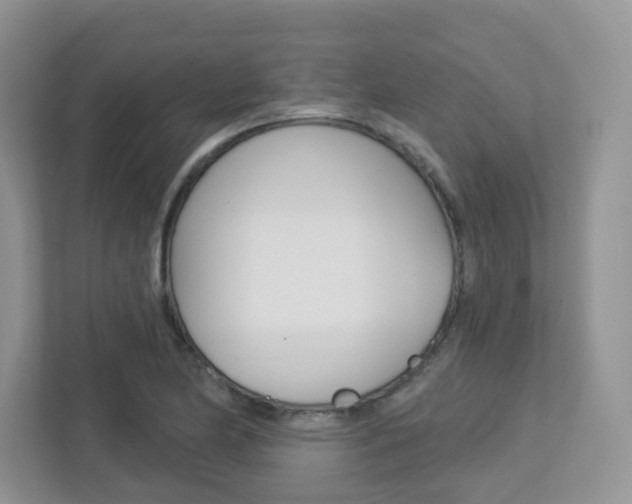 X0000112761174200908201027