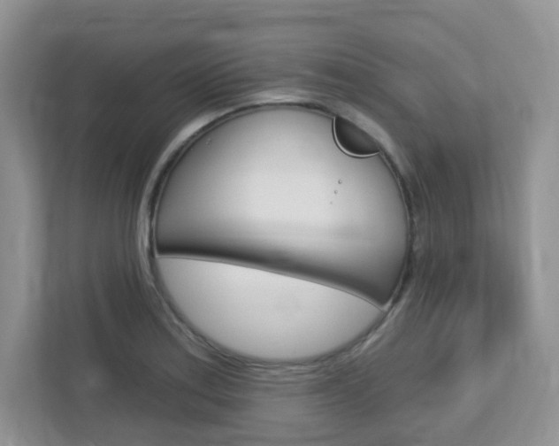 X0000112761179200908201027