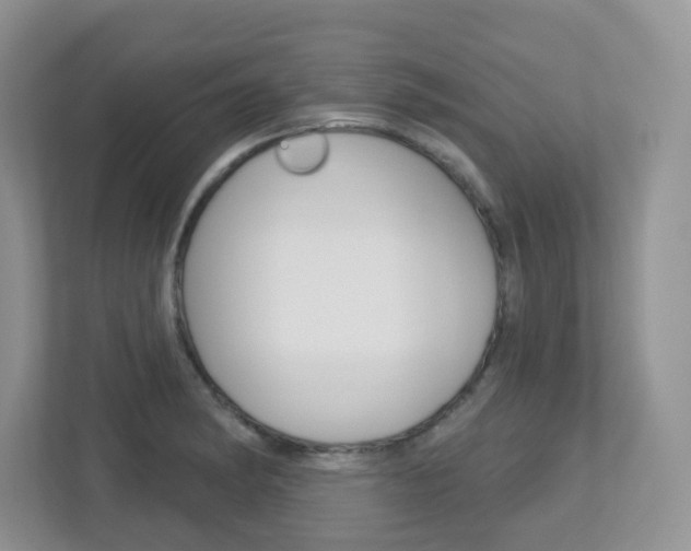 X0000112761182200908201027