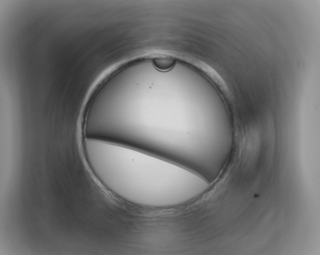 X0000112761183200908201027