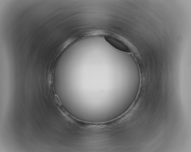X0000112761185200908201027