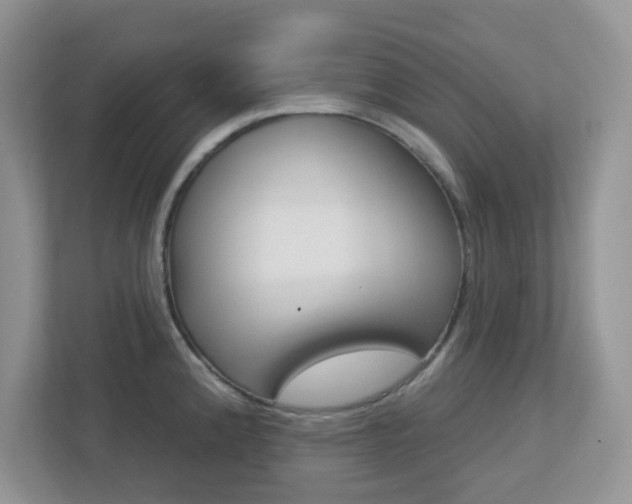 X0000112761192200908201027