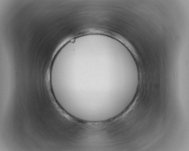 X0000112761198200908201027