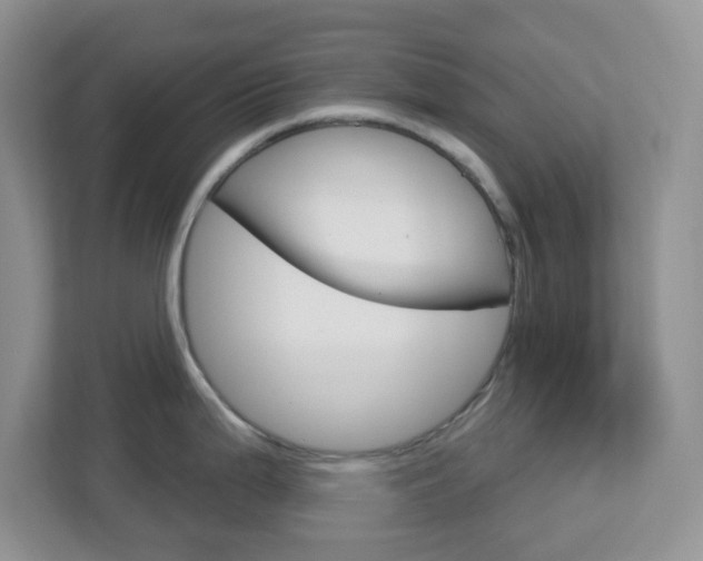 X0000112761199200908201027