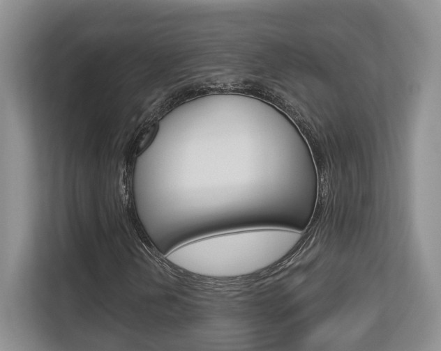 X0000112761202200908201026
