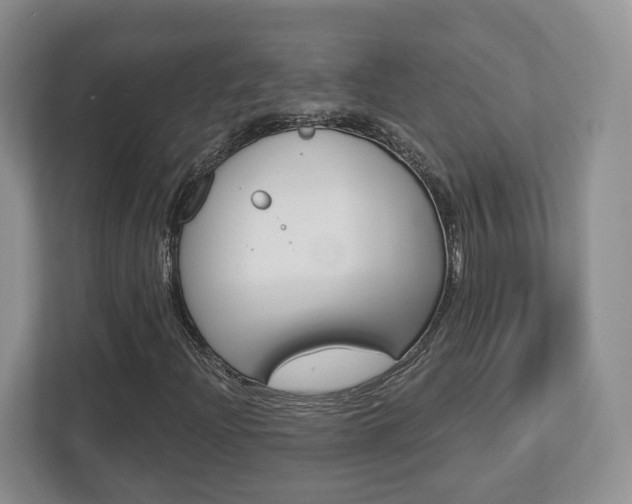 X0000112761204200908201026