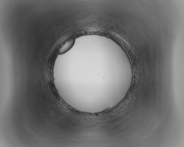 X0000112761207200908201026