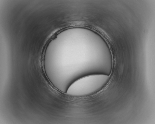 X0000112761212200908201027