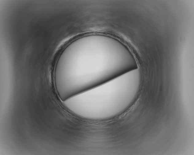 X0000112761214200908201027