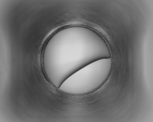 X0000112761216200908201027