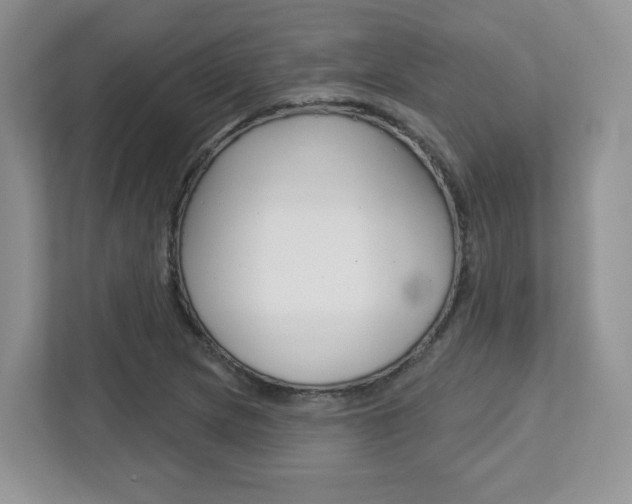 X0000112761217200908201027