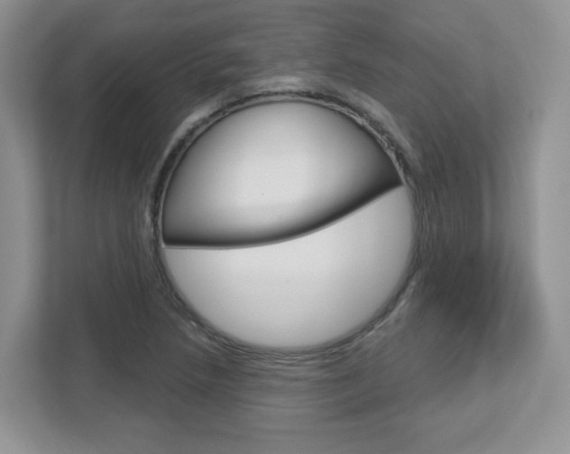 X0000112761218200908201027