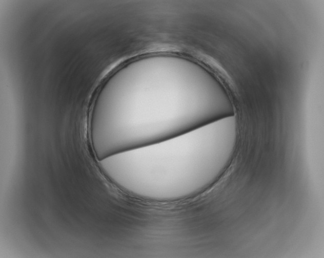 X0000112761220200908201027