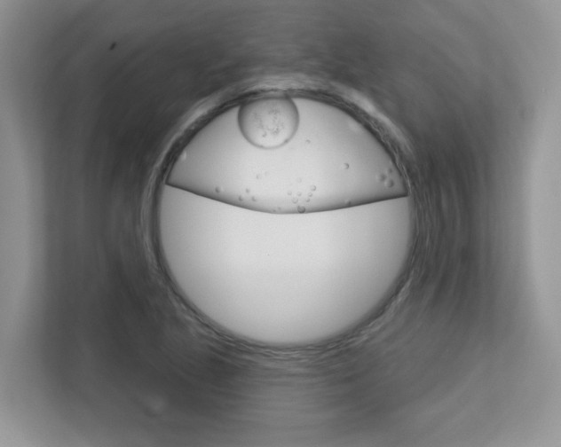 X0000112761221200908201027