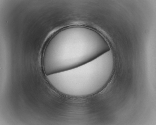 X0000112761222200908201027