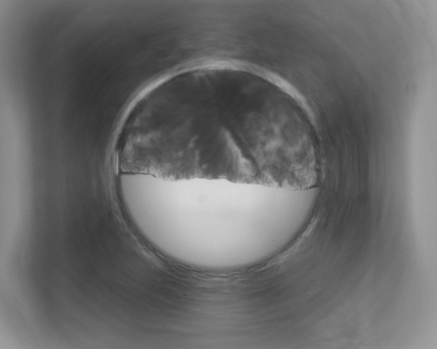 X0000112761223200908201027