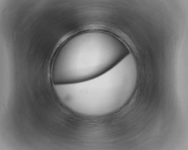 X0000112761226200908201027