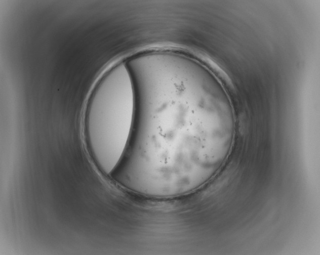 X0000112761229200908201027