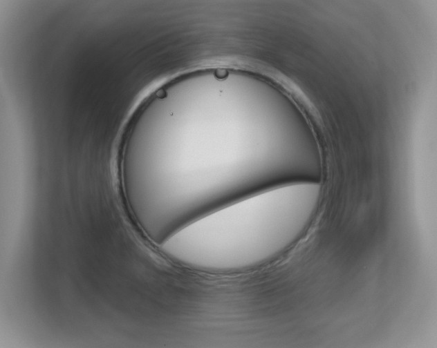 X0000112761230200908201027