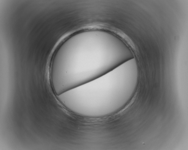 X0000112761232200908201027