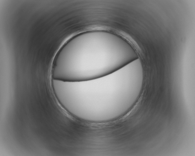 X0000112761236200908201027