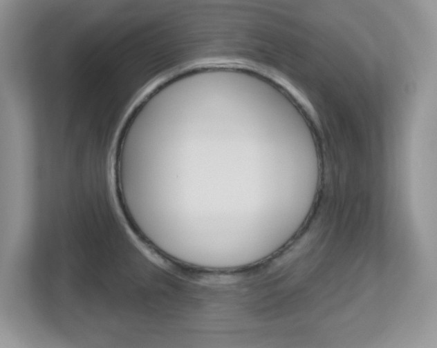 X0000112761237200908201027