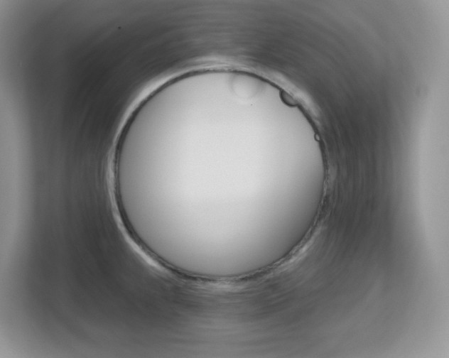 X0000112761239200908201027