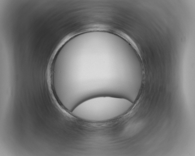 X0000112761243200908201027