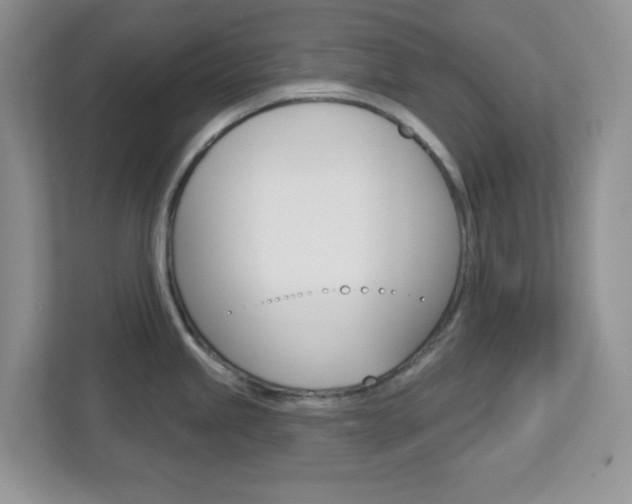 X0000112761245200908201027