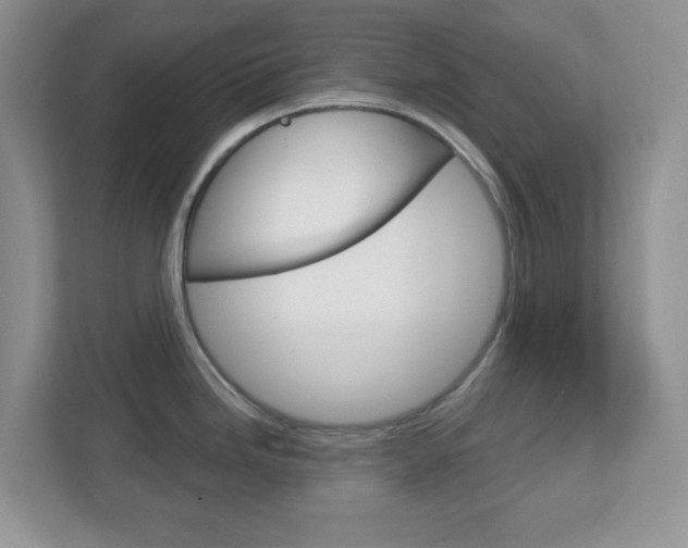 X0000112761246200908201027