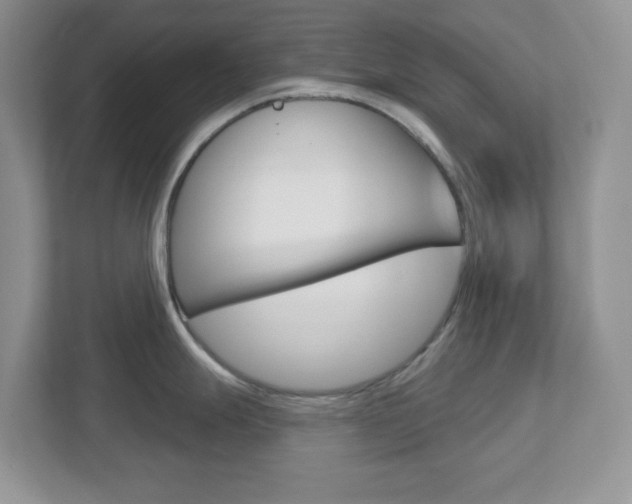X0000112761247200908201027