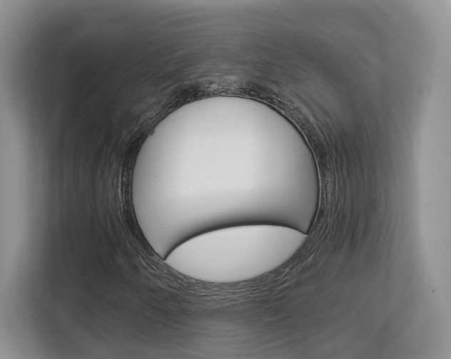 X0000112761250200908201026