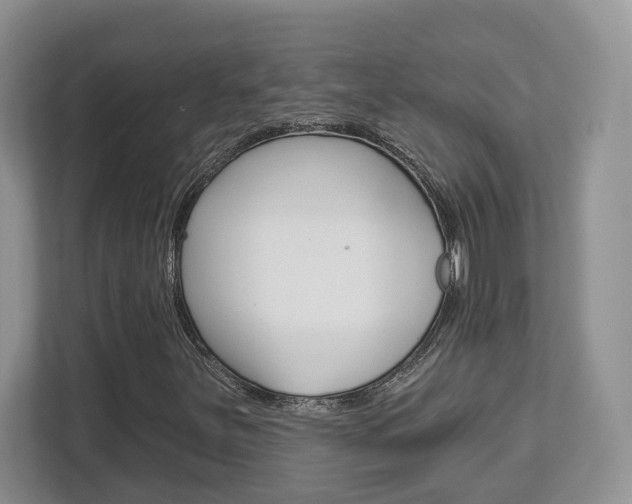 X0000112761251200908201026